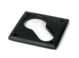 Black Diamond Euro Escutcheon