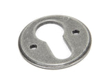 Pewter Regency Euro Escutcheon
