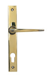 Aged Brass Eaton Slimline Lever Espag. Lock Set