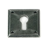 Pewter Avon Escutcheon