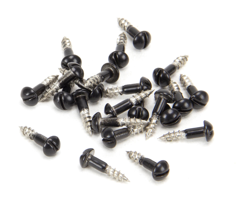 Black SS 3.0 x 12 Roundhead Screws (25)