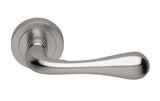 Astro Lever on Round Rose
