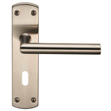 Residential Mitred Lever on Backplate