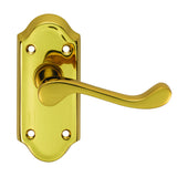 Ashtead Lever on Backplate