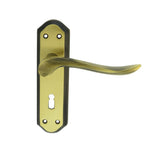 Lytham Lever on backplate