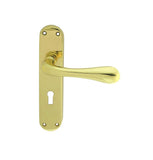Astro Lever on Backplate