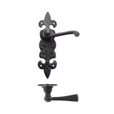Lever on Fleur de Lys Latch Backplate