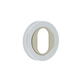 PCSN oval escutcheon