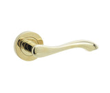 Gamma Door Handles
