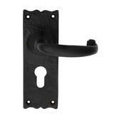 Traditional Lever on Backplate