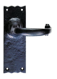 Traditional Lever on Backplate