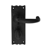 Traditional Lever on Backplate