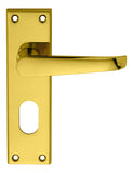 Victorian Lever on Backplate