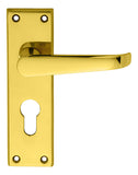 Victorian Lever on Backplate