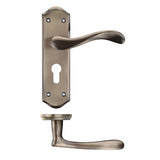 Project Asti lever on euro backplate