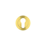 Euro Profile Escutcheon