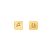 Turn & Indicator Release - Square Rose