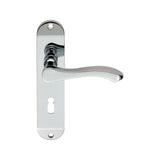 Lever on Backplate