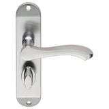 Lever on Backplate