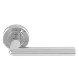 Dieci Lever on Rose