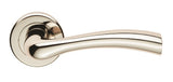 Cinquanta Lever on Rose