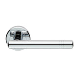 Atalaya Lever On Rose