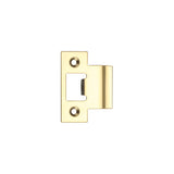 Spare Extended Tongue Strikes to suit the ZTLKA and ZTLA Tubular Latches