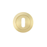Escutcheon standard profile