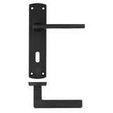 Leon lever on lock backplate