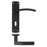 Toledo lever on lock backplate