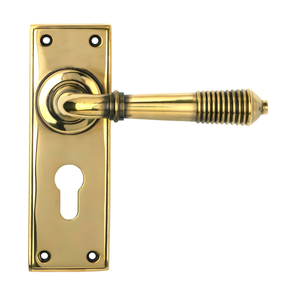 Aged Brass Reeded Lever Euro Lock Set