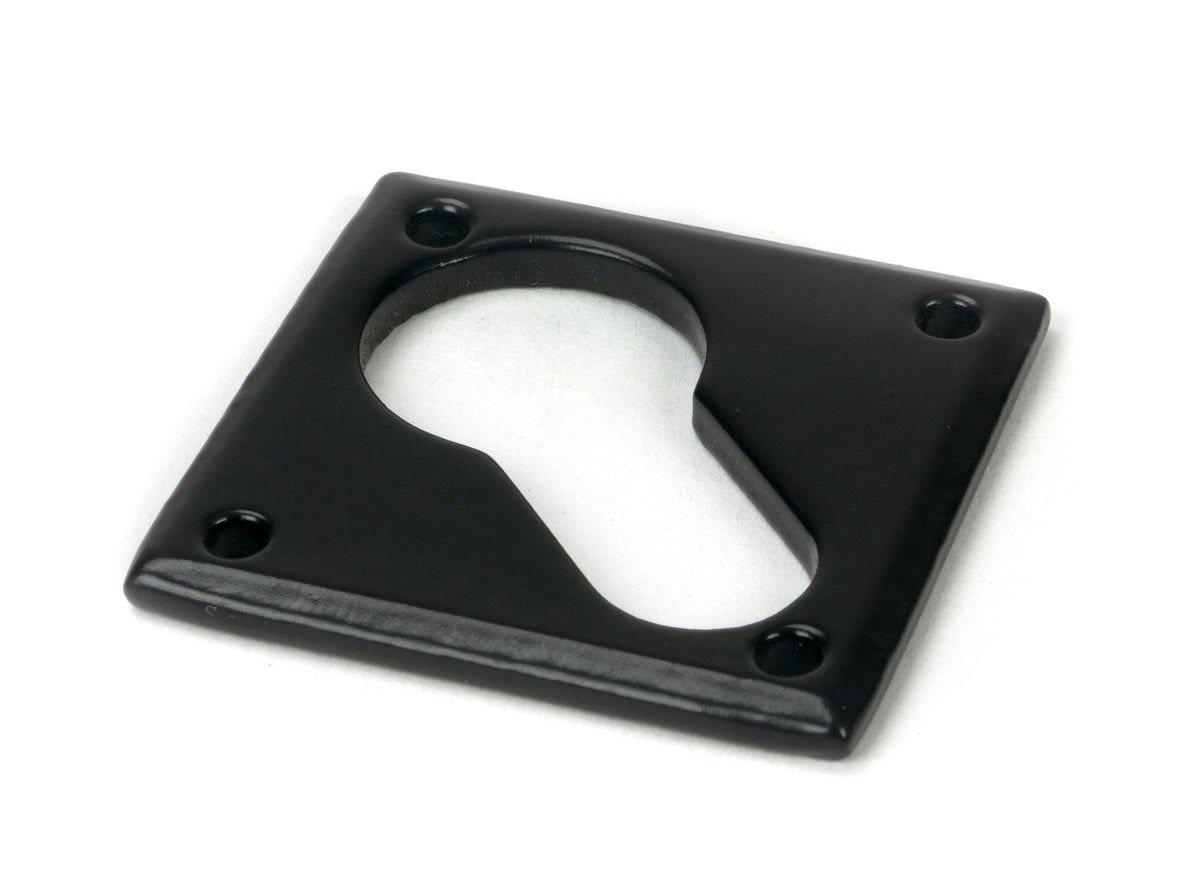 Black Diamond Euro Escutcheon
