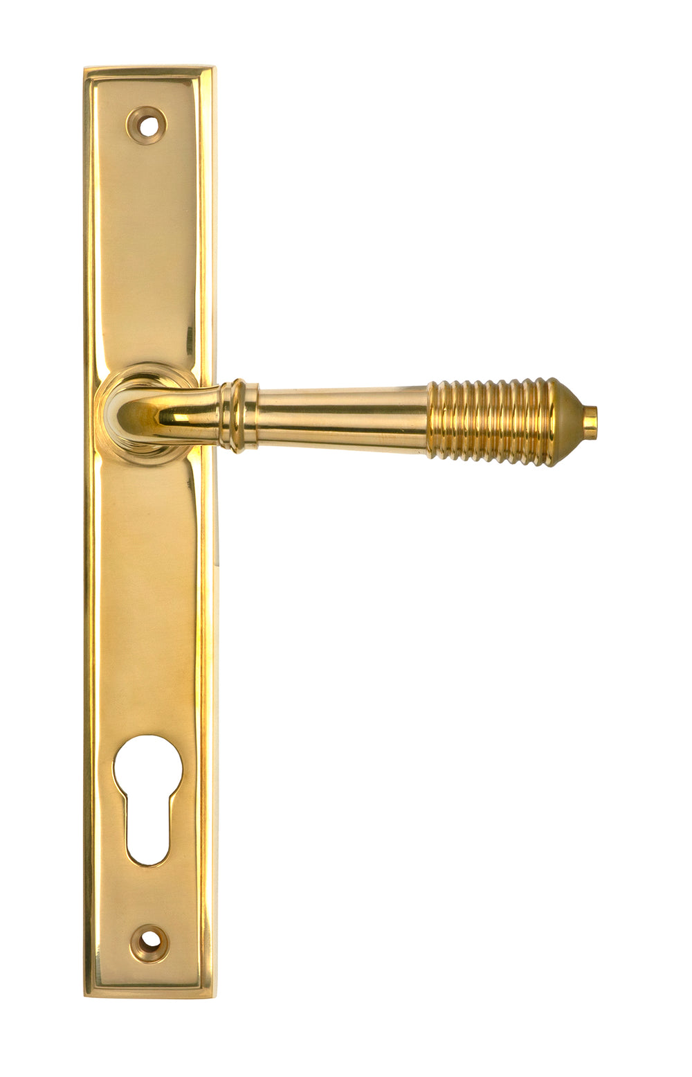 Polished Brass Reeded Slimline Lever Espag. Lock Set