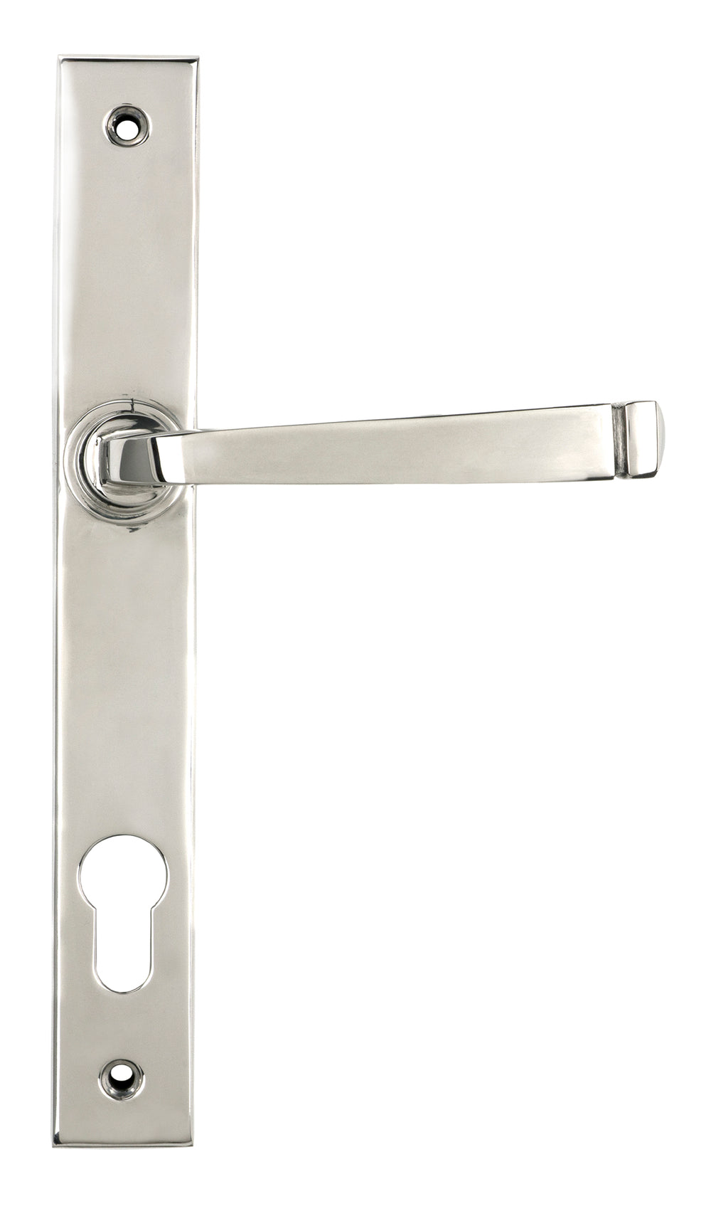 Polished Marine SS (316) Avon Slimline Lever Espag. Lock Set