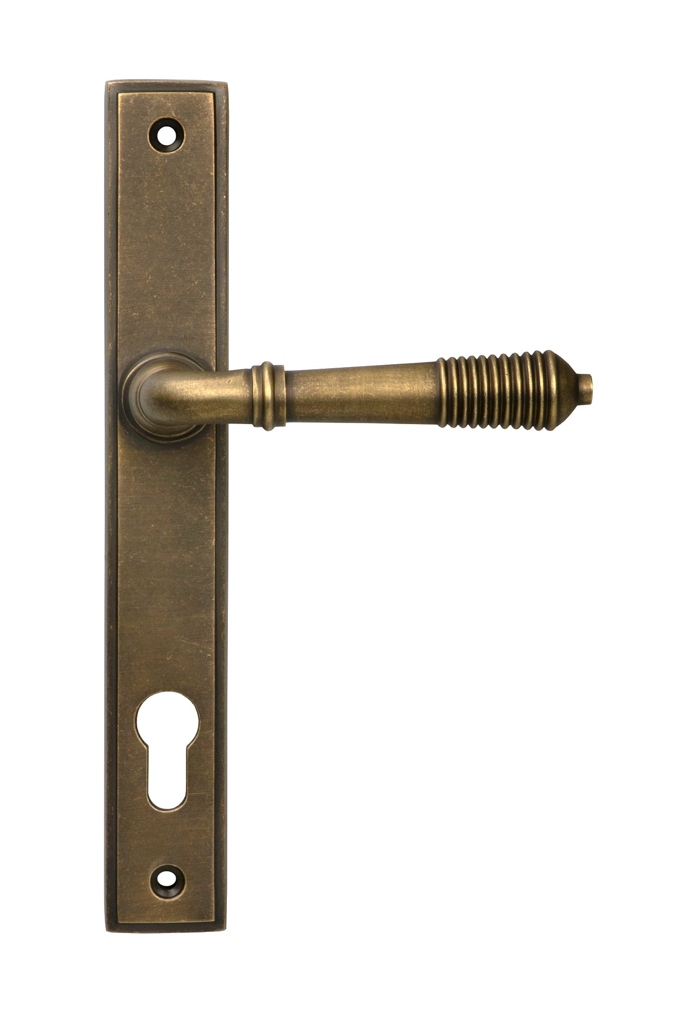 Burnished Brass Reeded Slimline Lever Espag. Lock Set