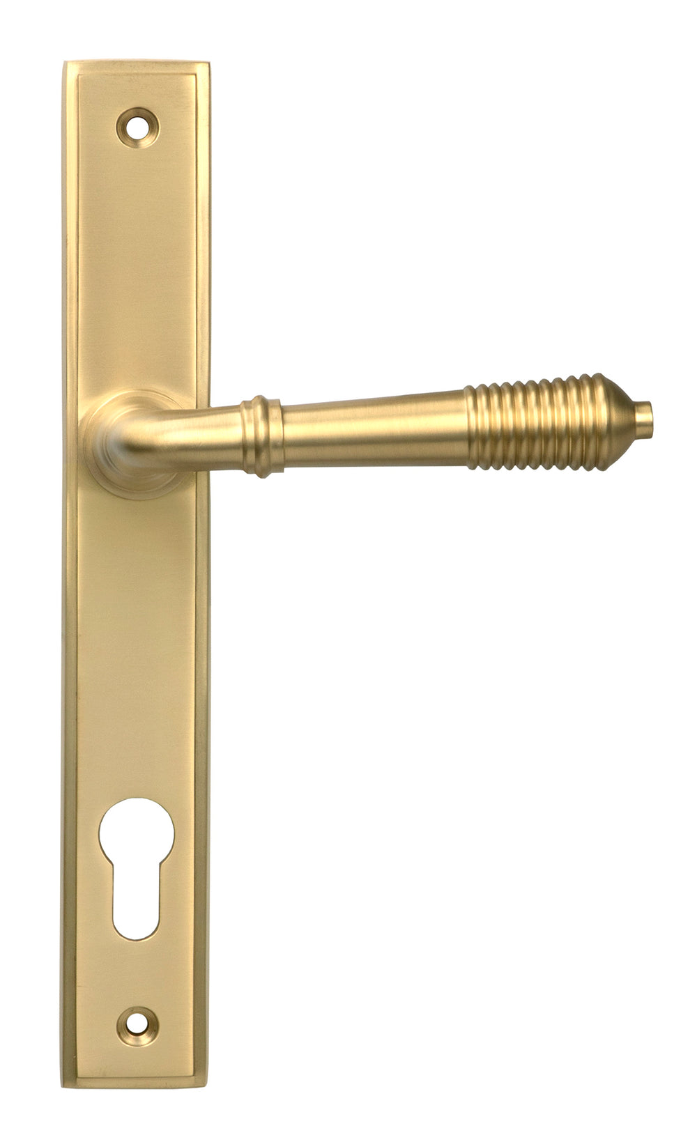 Satin Brass Reeded Slimline Lever Espag. Lock Set