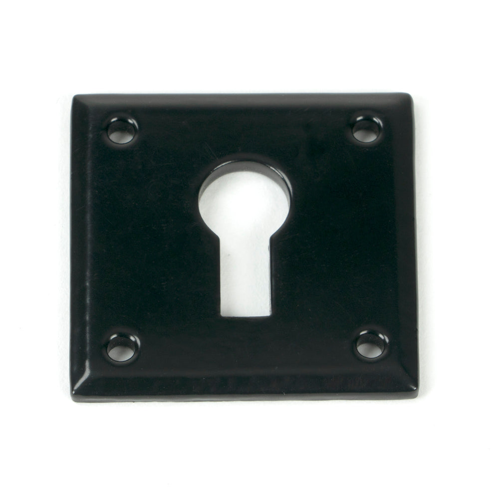 Black Avon Escutcheon