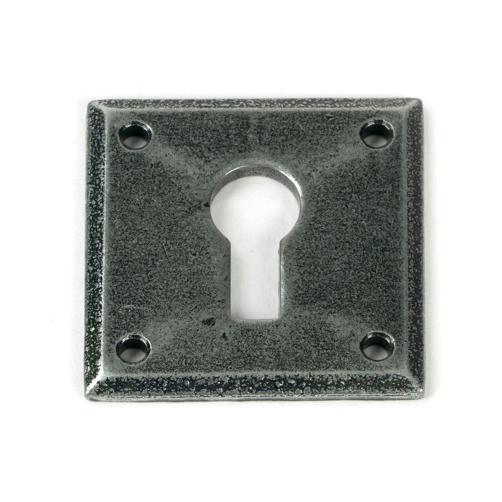 Pewter Avon Escutcheon