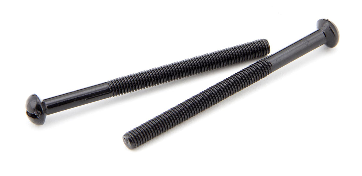 Black SS M5 x 64mm Male Bolts (2)