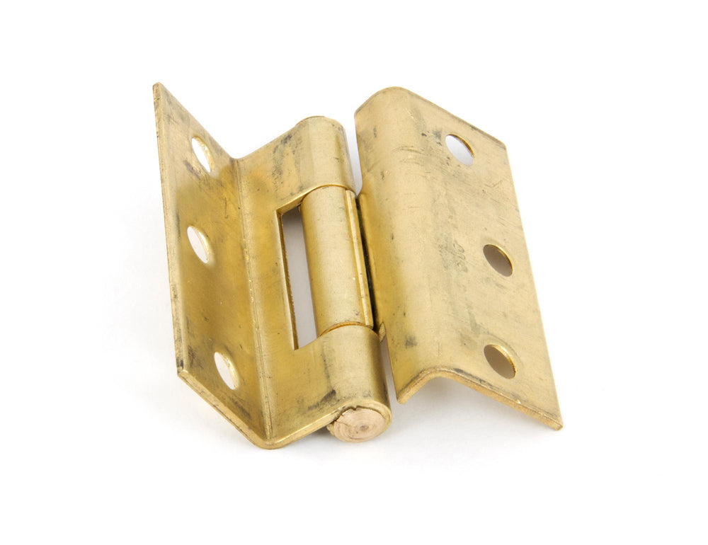 Self Coloured Brass 2½" (pair) Stormproof Hinge 1951