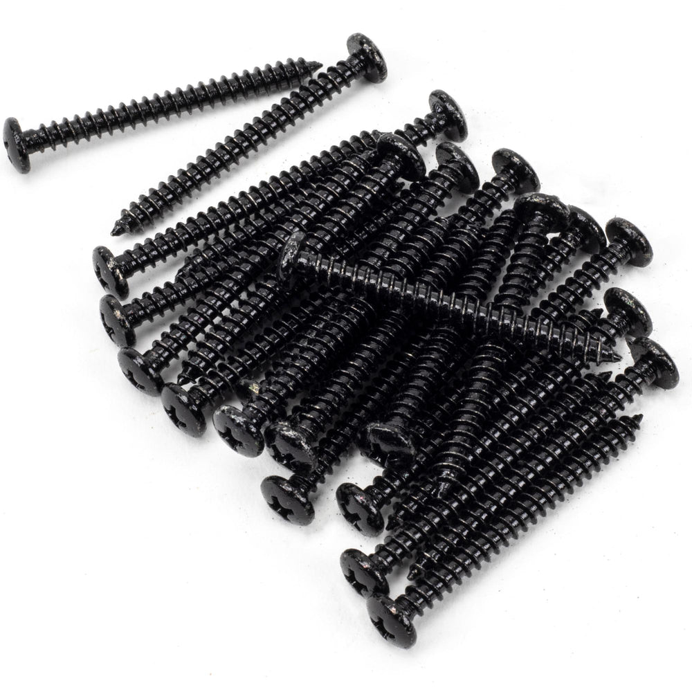 Black 10x2" Round Head Screws (25)