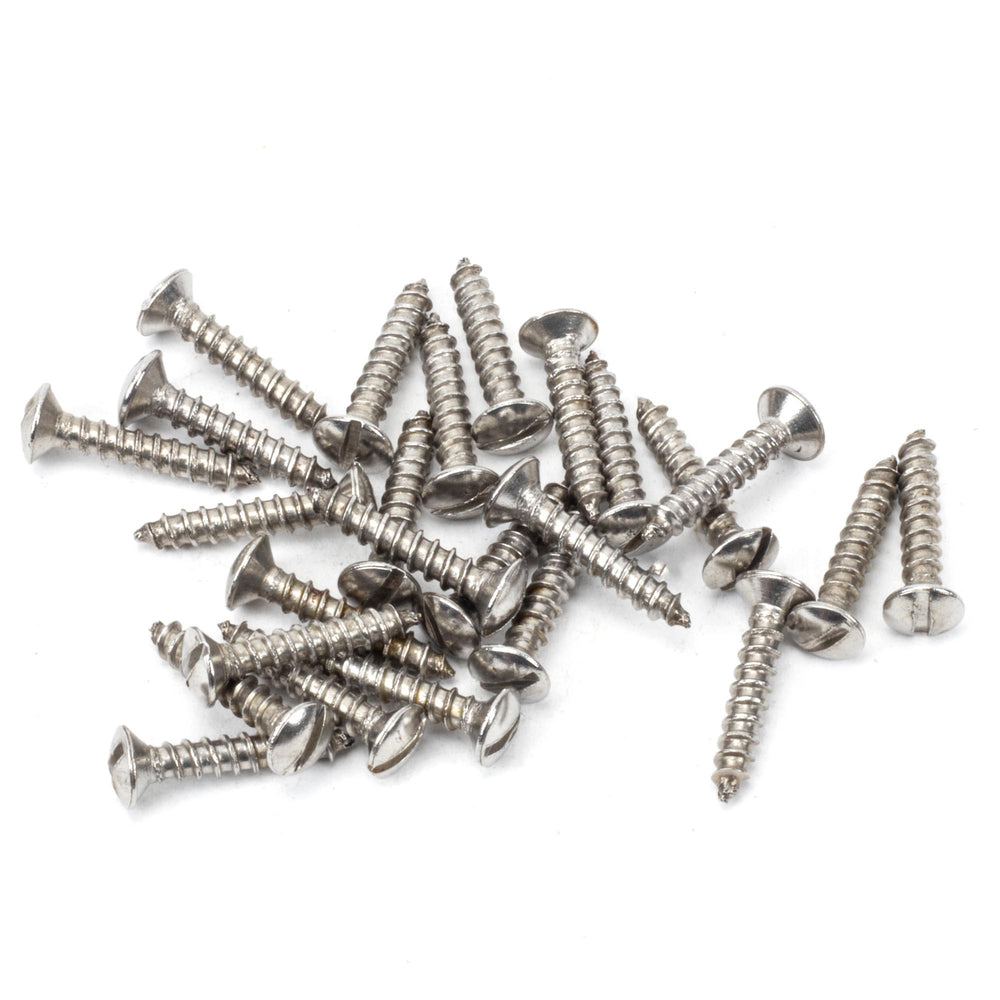 Stainless Steel 4x¾" Countersunk Raised Head Screws (25)