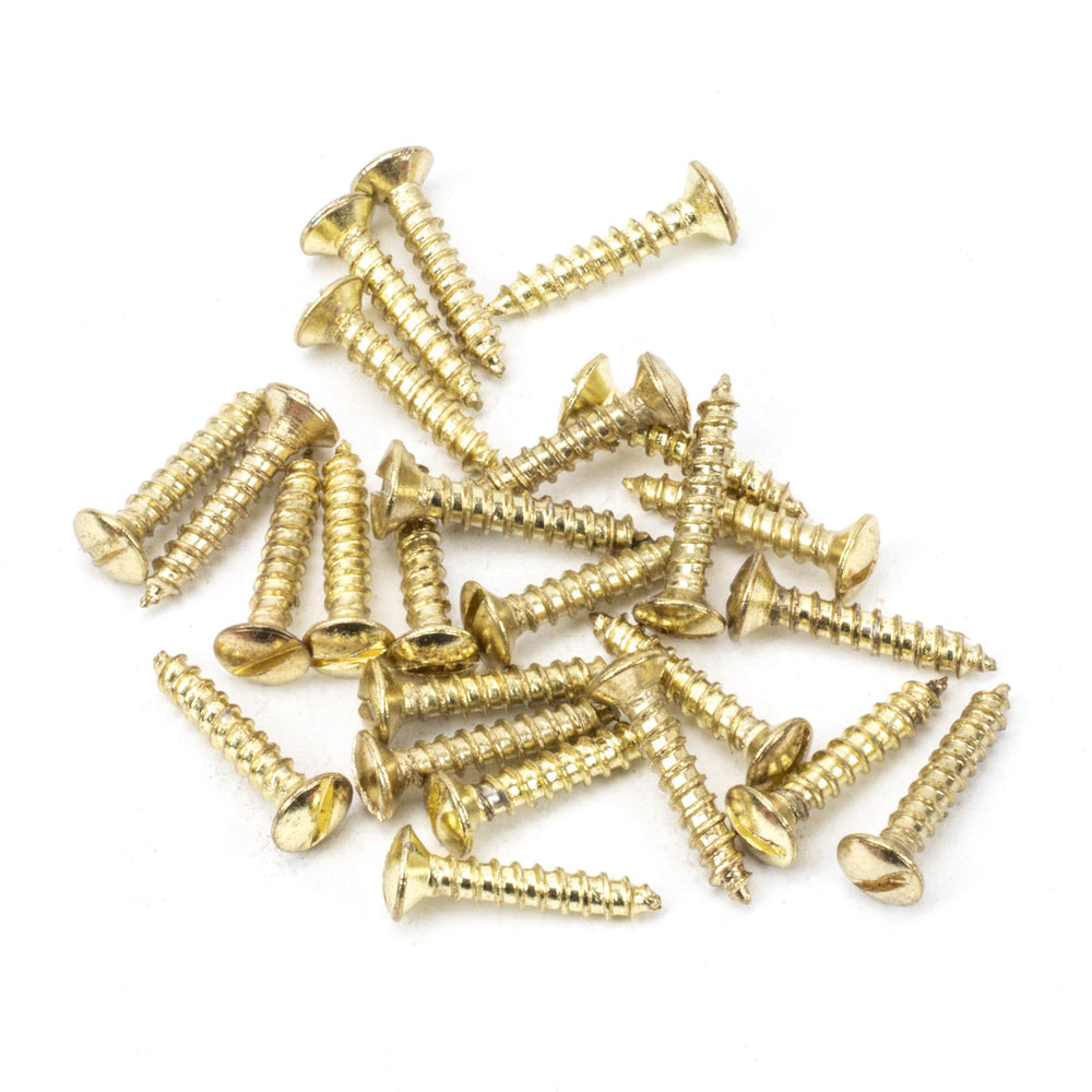 Polished Brass SS 4x¾" Countersunk Raised Head Screws (25)