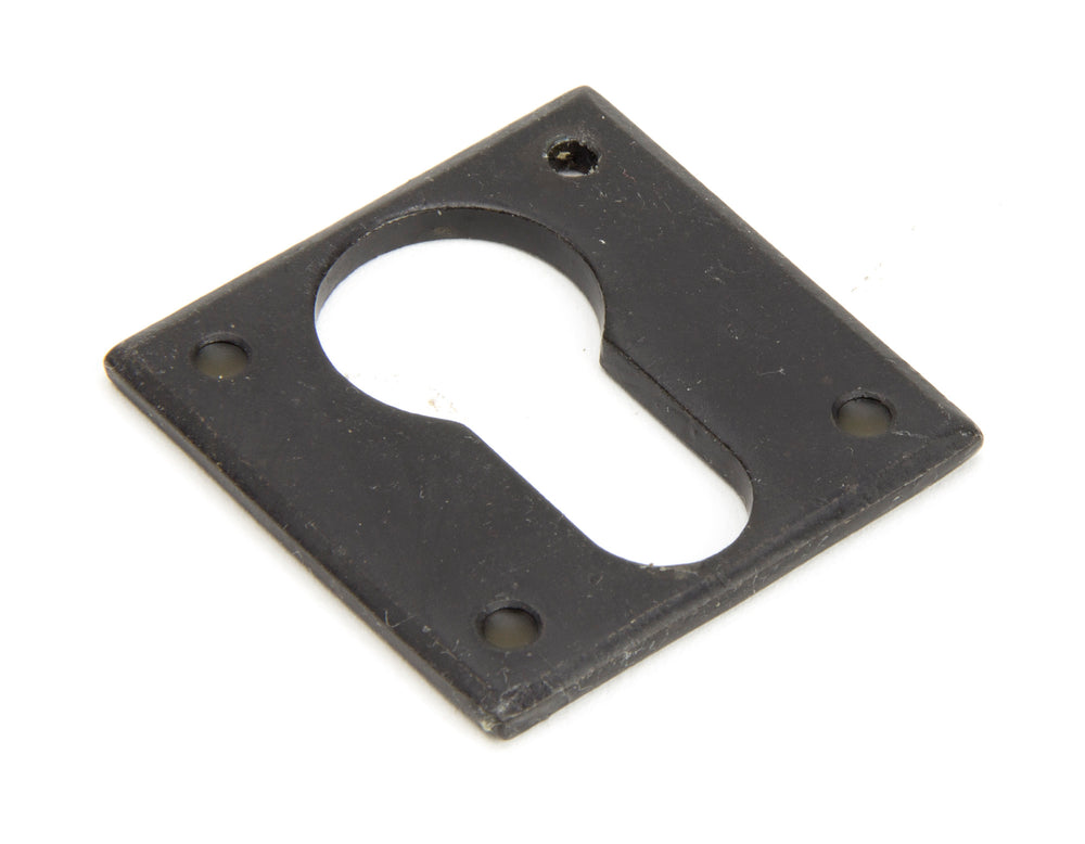 External Beeswax Avon Euro Escutcheon