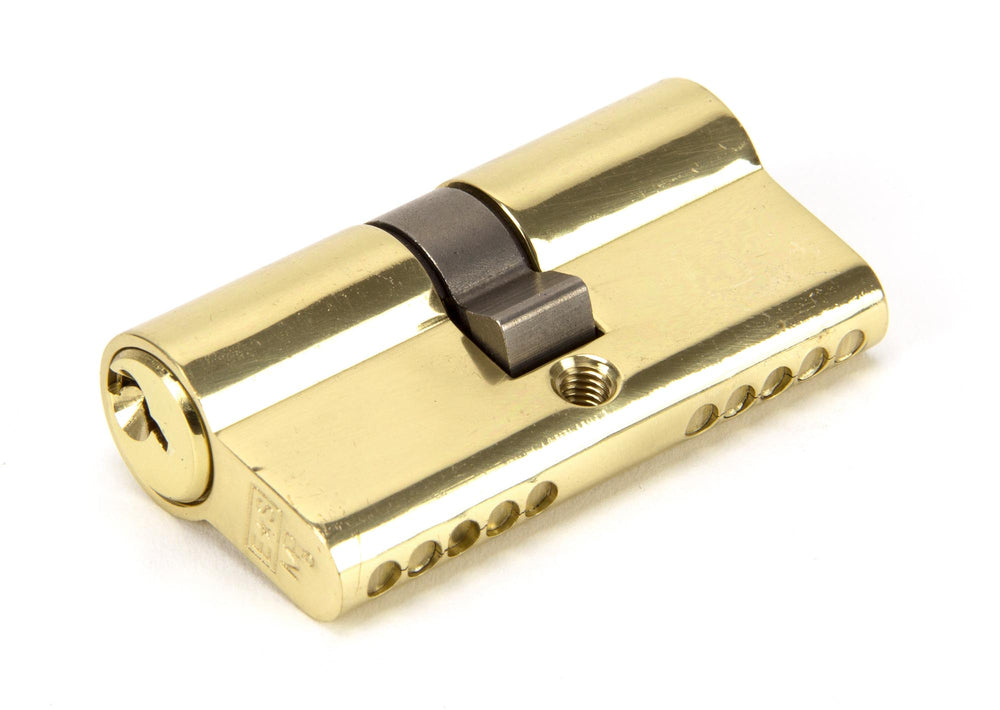 Lacquered Brass 30/30 Euro Cylinder