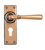Polished Bronze Newbury Lever Euro Lock Set