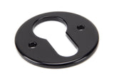 Black Regency Euro Escutcheon