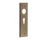 Burlington II Lever Plate Choices