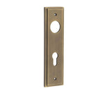 Burlington II Lever Plate Choices