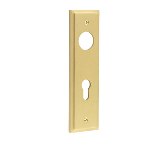 Burlington II Lever Plate Choices